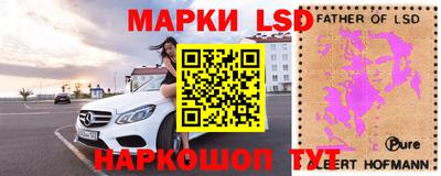 молекула духа Будённовск