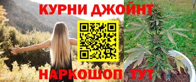 молекула духа Будённовск