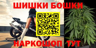 молекула духа Будённовск