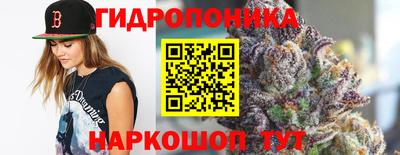 молекула духа Будённовск
